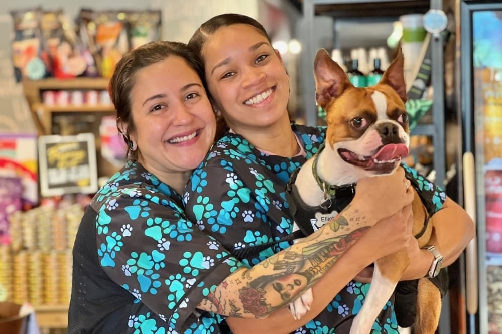 Patsy's Pet Market celebrates 10 years serving community, pets