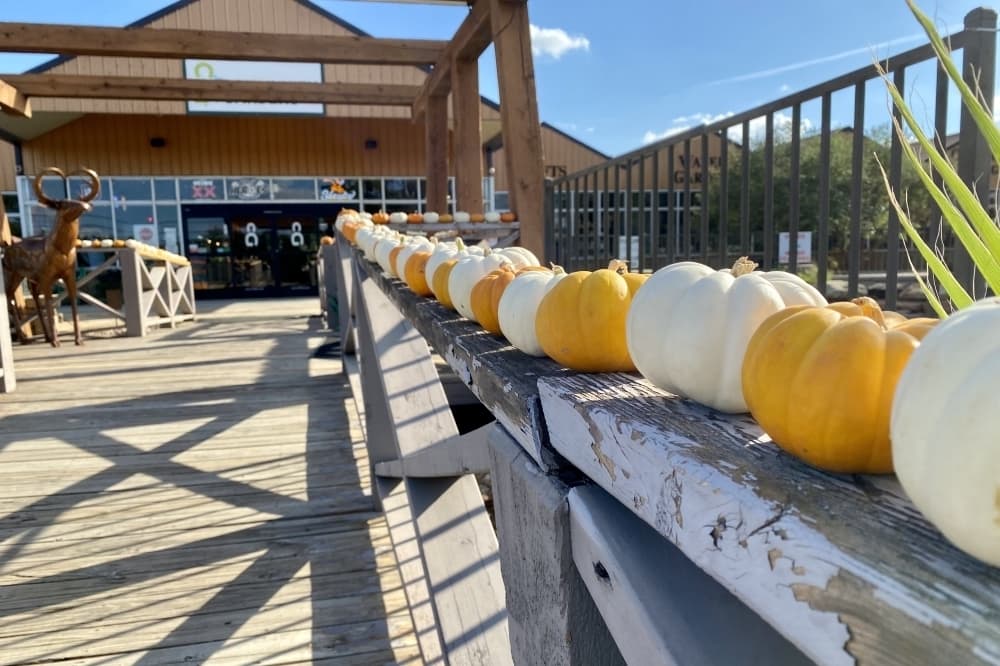 Pumpkins are lined along a railing in front of the building. 