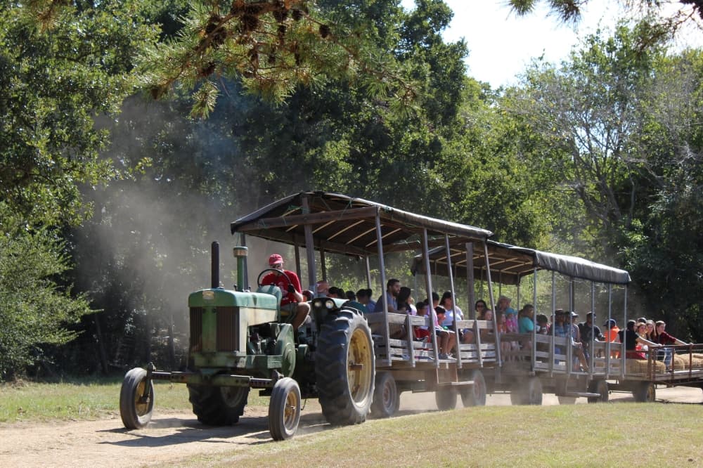 Check out these 11 events happening in the Austin-San Antonio metro area