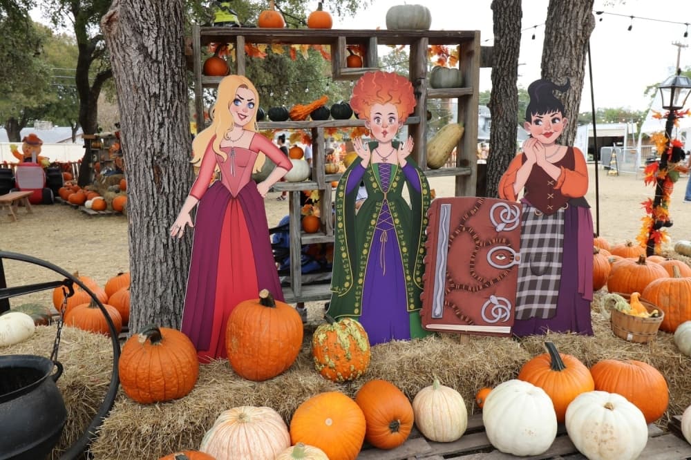 Check out these 6 Northeast San Antonio Metrocom events happening in October