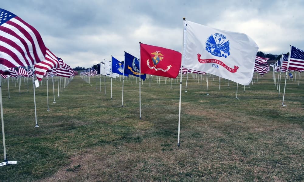 American flags and flags of military branches on poles displayed in a field. 
