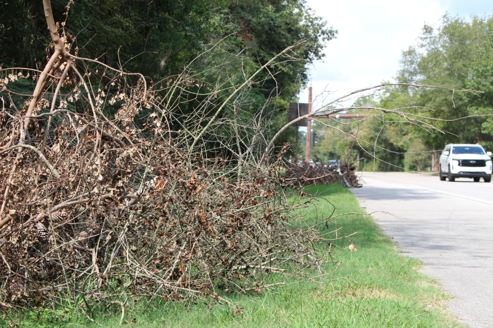 The Woodlands Township eyes reforestation challenges amid loss of over 7K trees