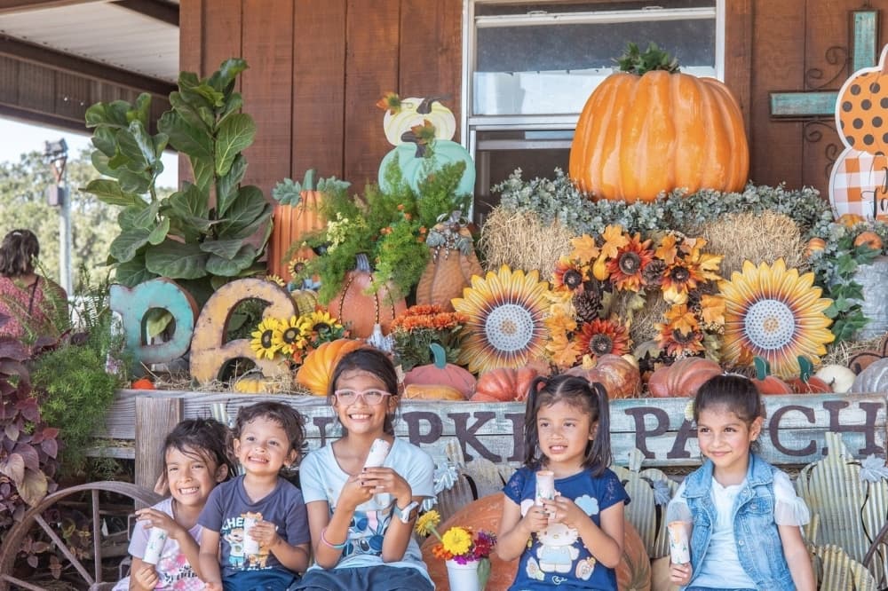 The P6 Farms pumpkin patch features several photo opportunities. (Courtesy P6 Farms)