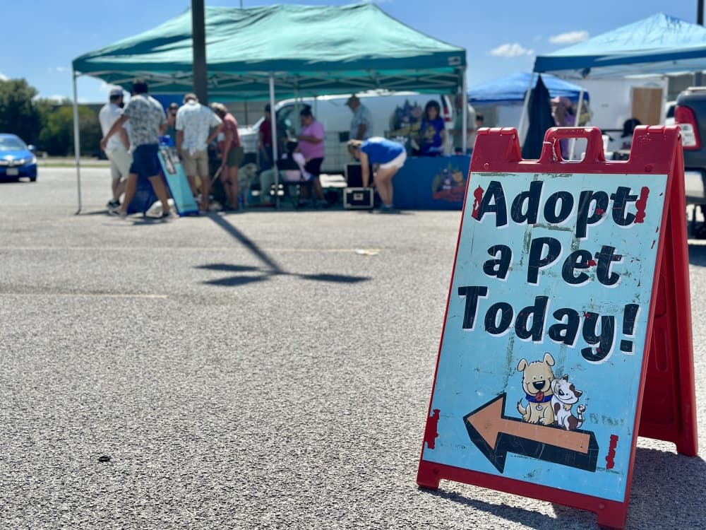 The "adopt a pet" sign is shown in the foreground, with the adopt event in the background.