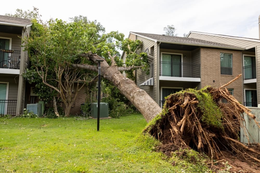 Houston to alter plan allocating $315M in federal disaster aid to address housing needs