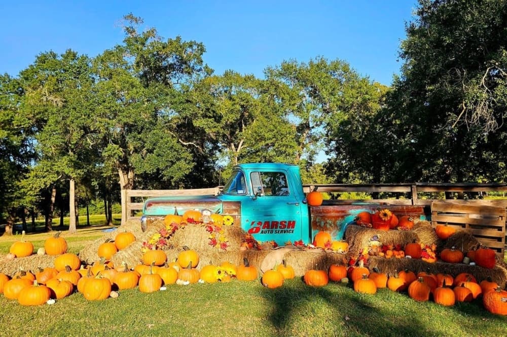 11 events to attend in the Greater Houston area this weekend, Oct. 3-Oct. 6 