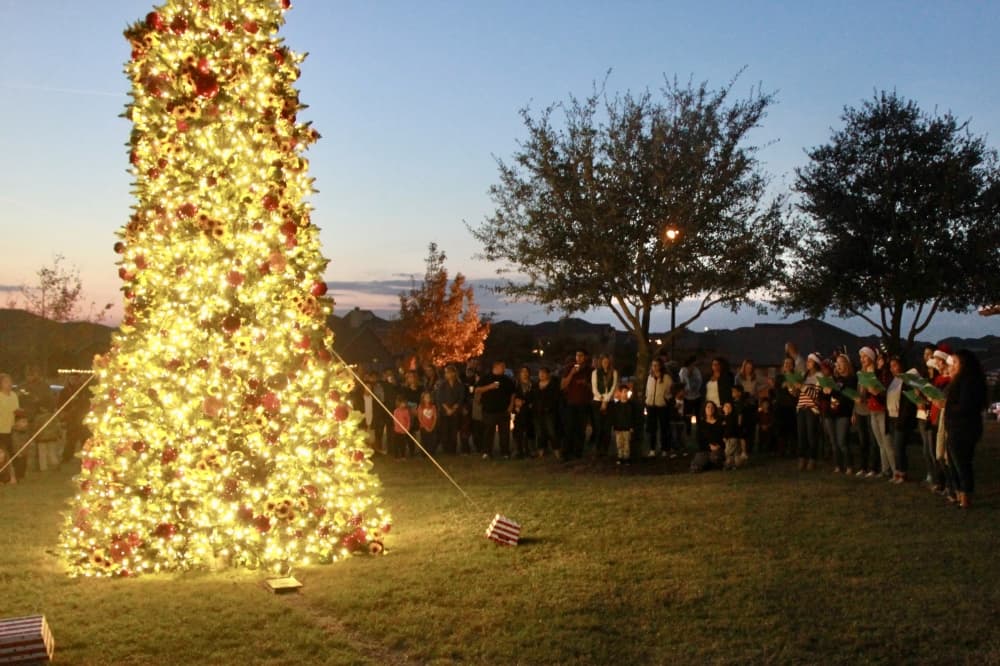 Sunfield enriches the lives of residents with year round celebrations and events. 