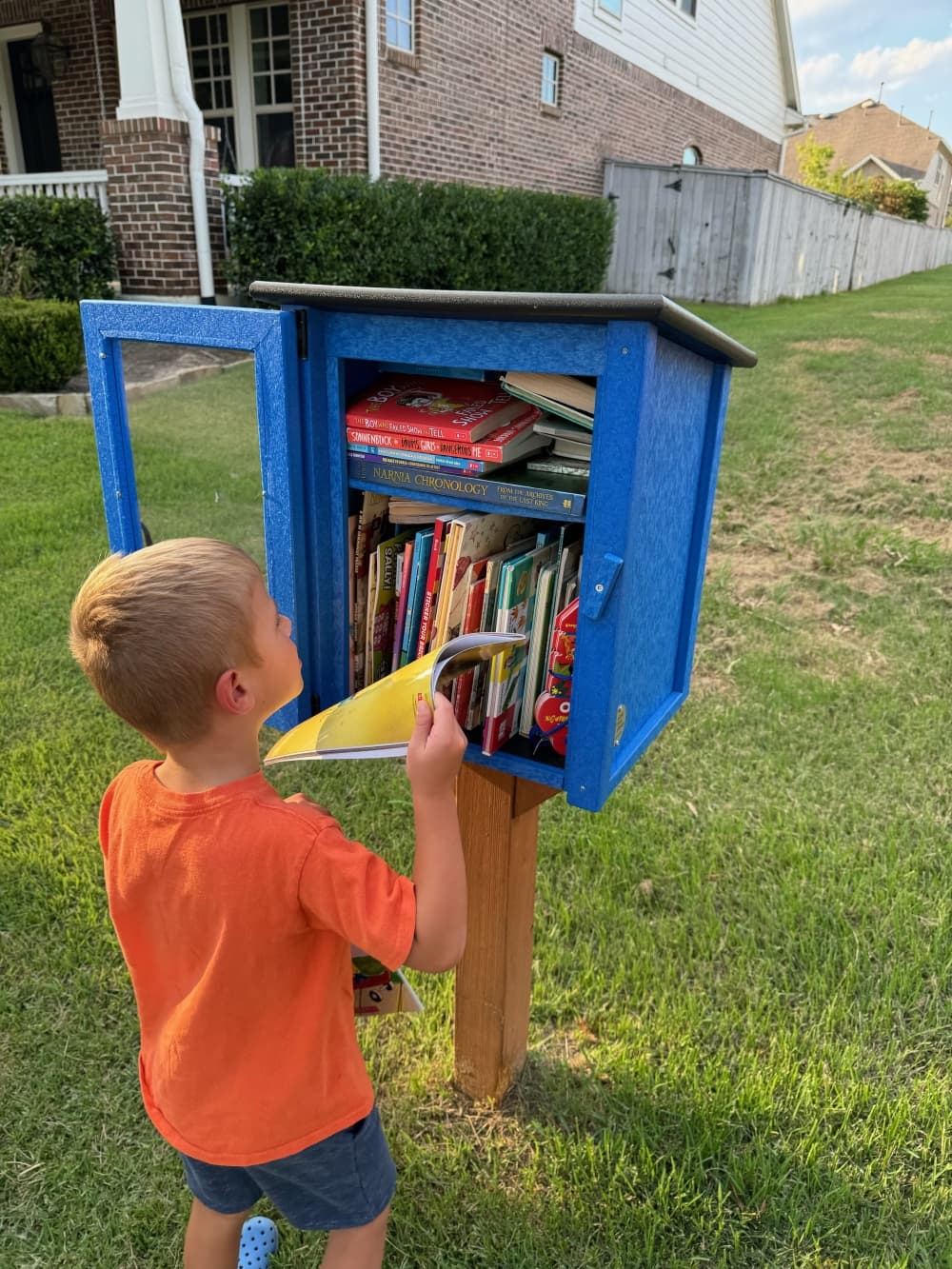 A child puts a book into a library