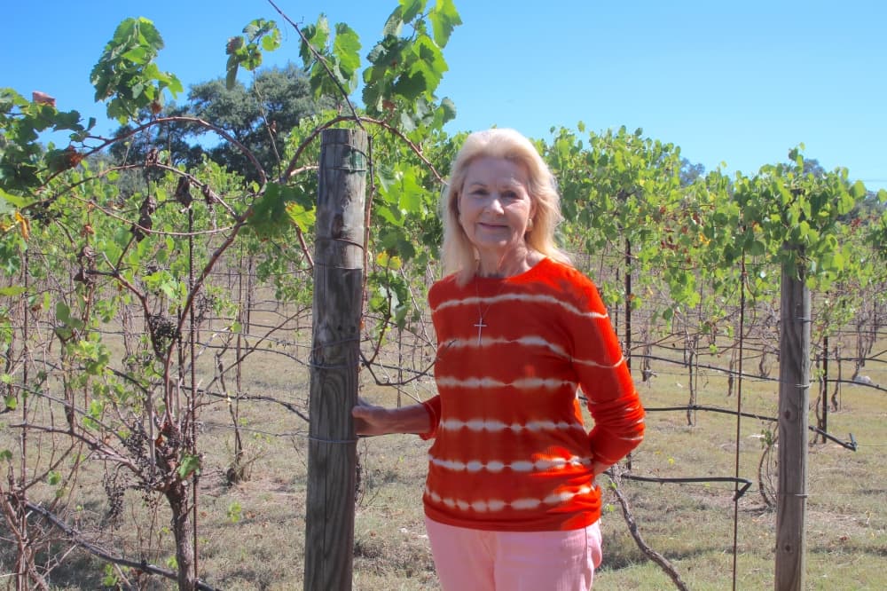 Texas Hill Country wine region growth spurs $20.35B statewide industry