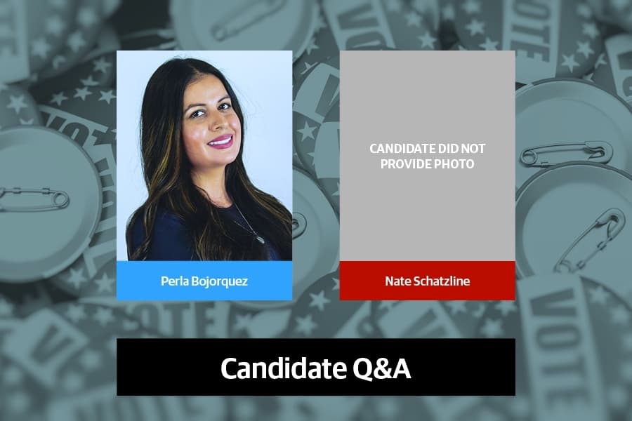Q&A: Meet the candidates for Texas House, District 93