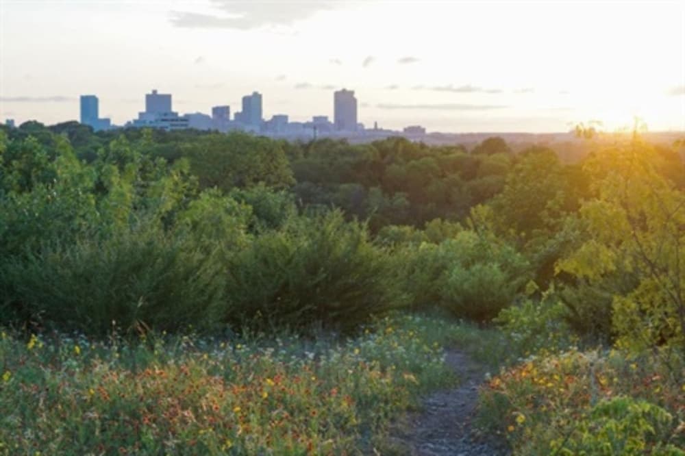 Fort Worth staff to recommend adding open space provision to city code