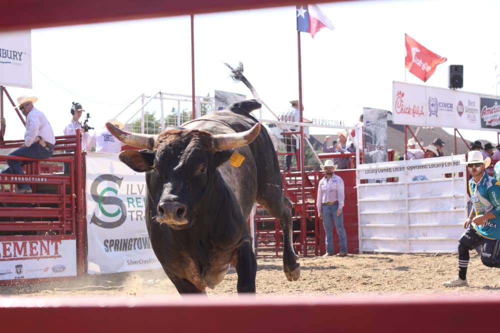 Flying bullfighters, Pat Green highlight 27th Annual Celebrate Roanoke Street Festival