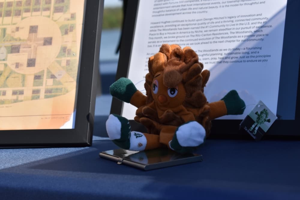 A toy pinecone 