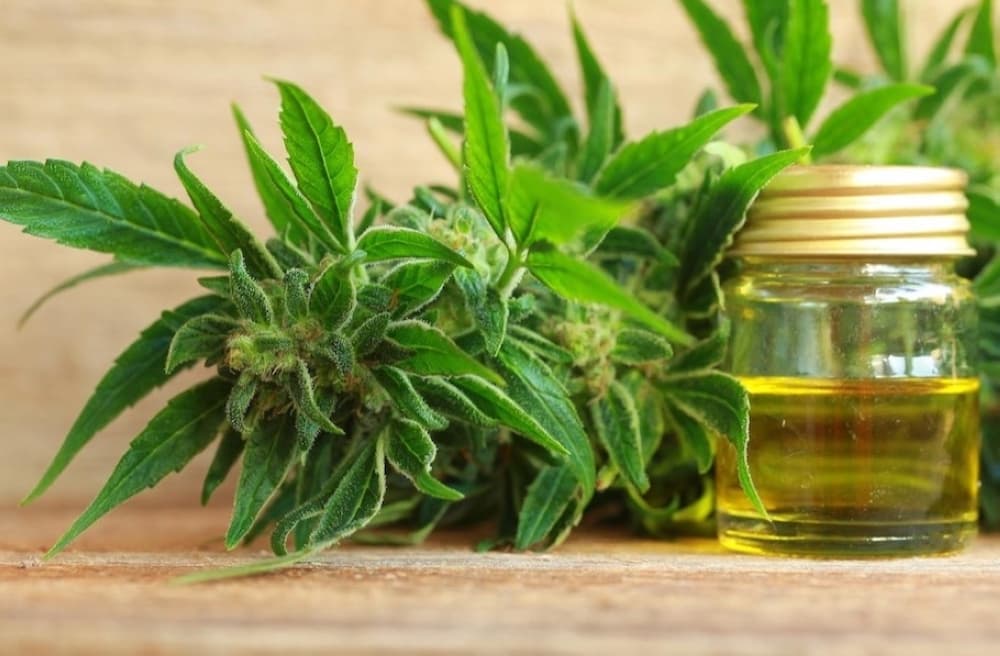 Pinnacle Essentials CBD, THC shop now open in Liberty Hill