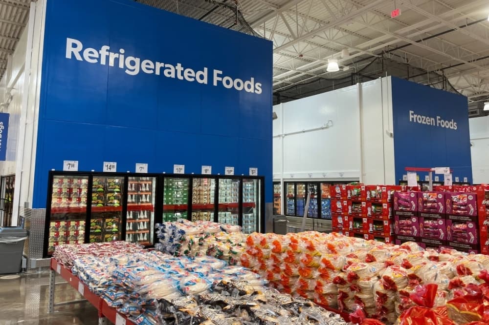 freezers and coolers 