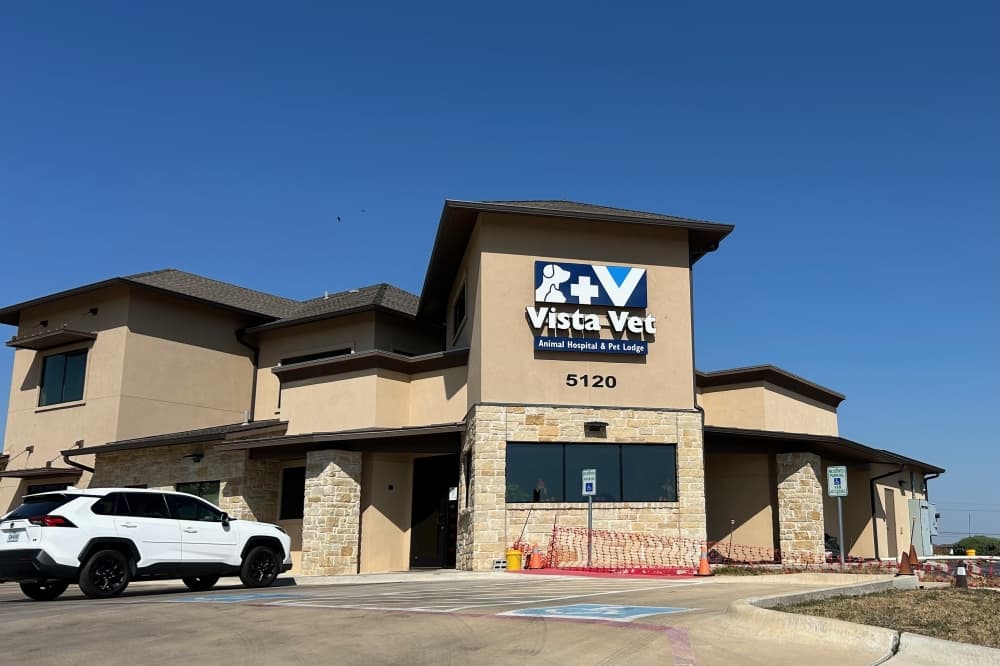 Vista Vet Animal Hospital and Pet Lodge marks 5 years of caring for Round Rock pets