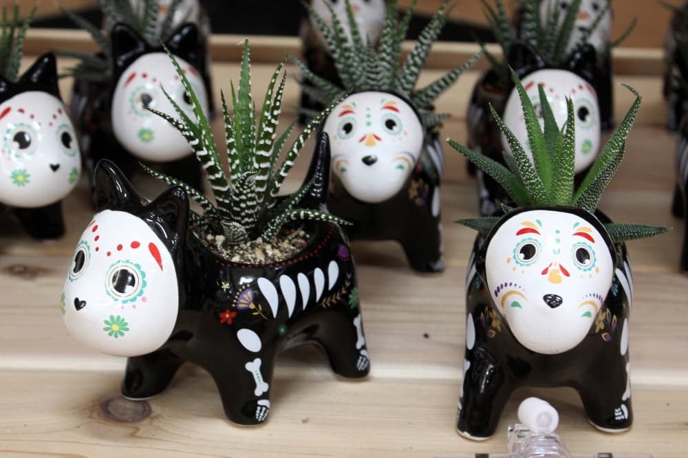 Succulent holders featuring day of the dead artwork.