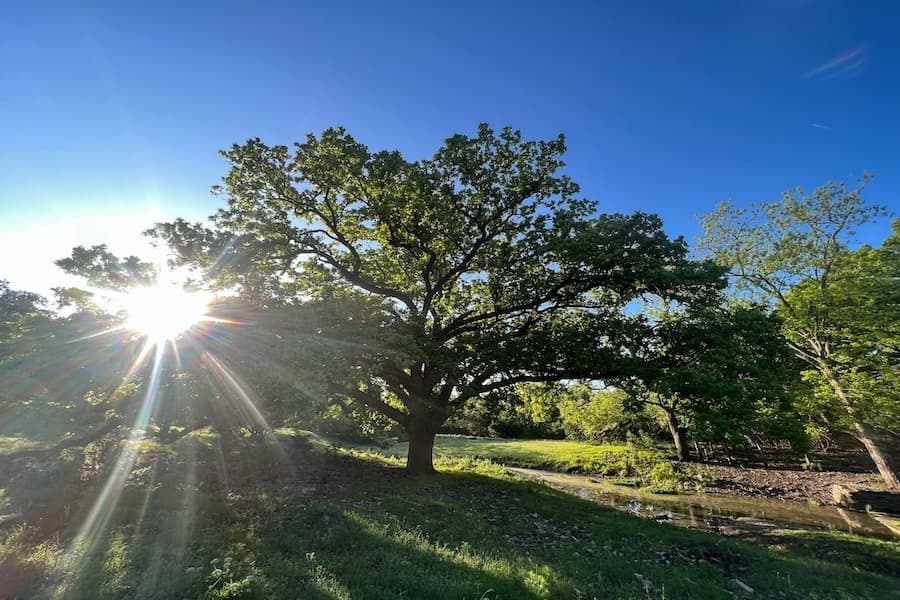 Hill Country Conservancy secures $23.2M in federal funding for conservation easements