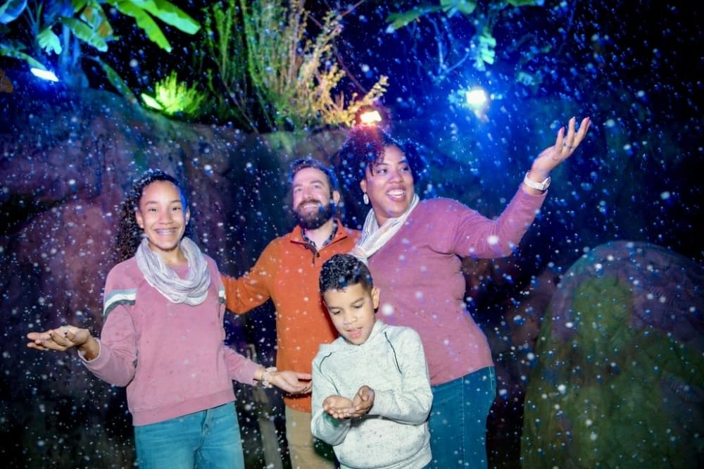 People at Zoo lights 