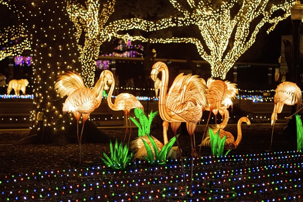 flamingo lanterns 