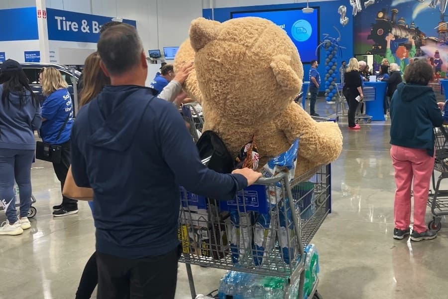 shopping cart with teddy bear