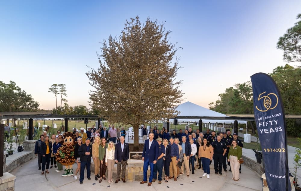 people gather around a tree