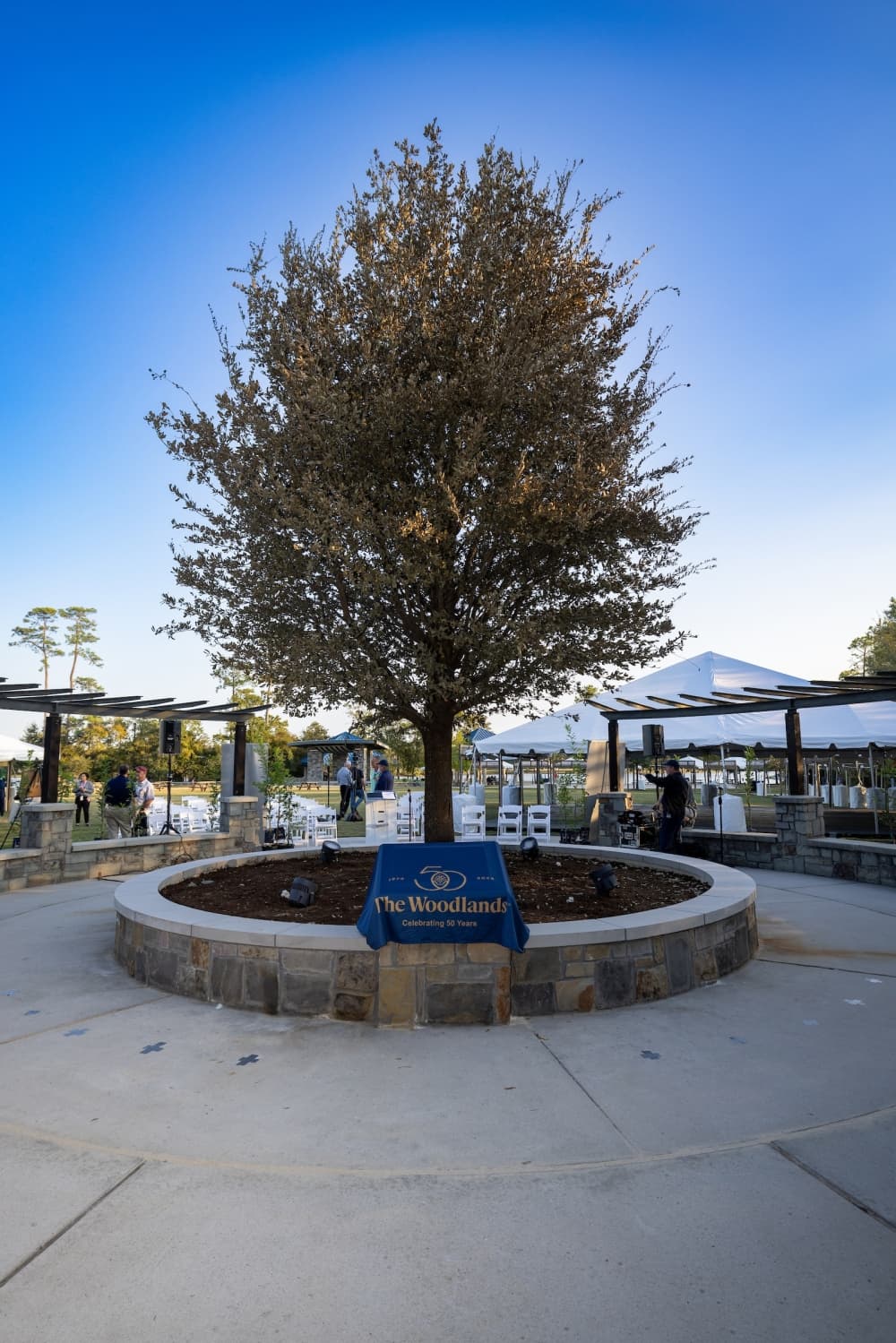 tree planted outside