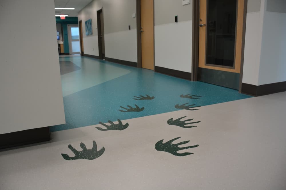 In addition to animal photos, each floor has footprints for the animal mascot, including turtle footprints (pictured) on the second floor. 