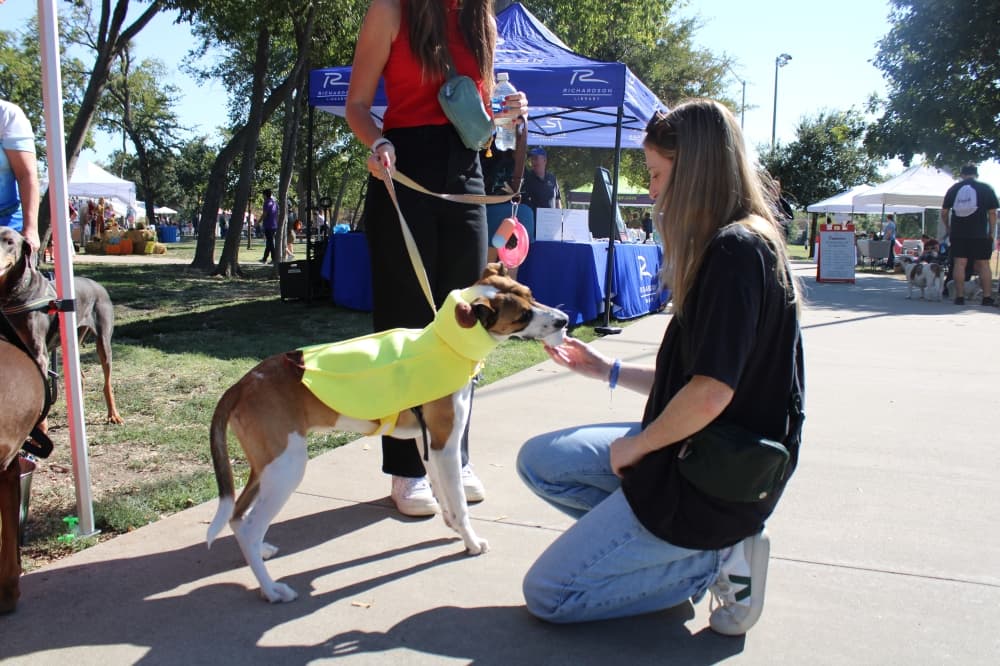 A woman giving a dog in a banana costume a treat