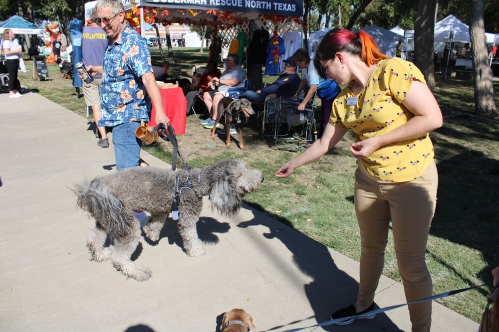 A woman giving a dog a treat