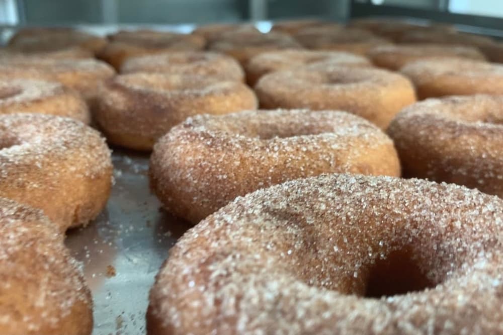 An image of the apple cider donuts served at the farm. 