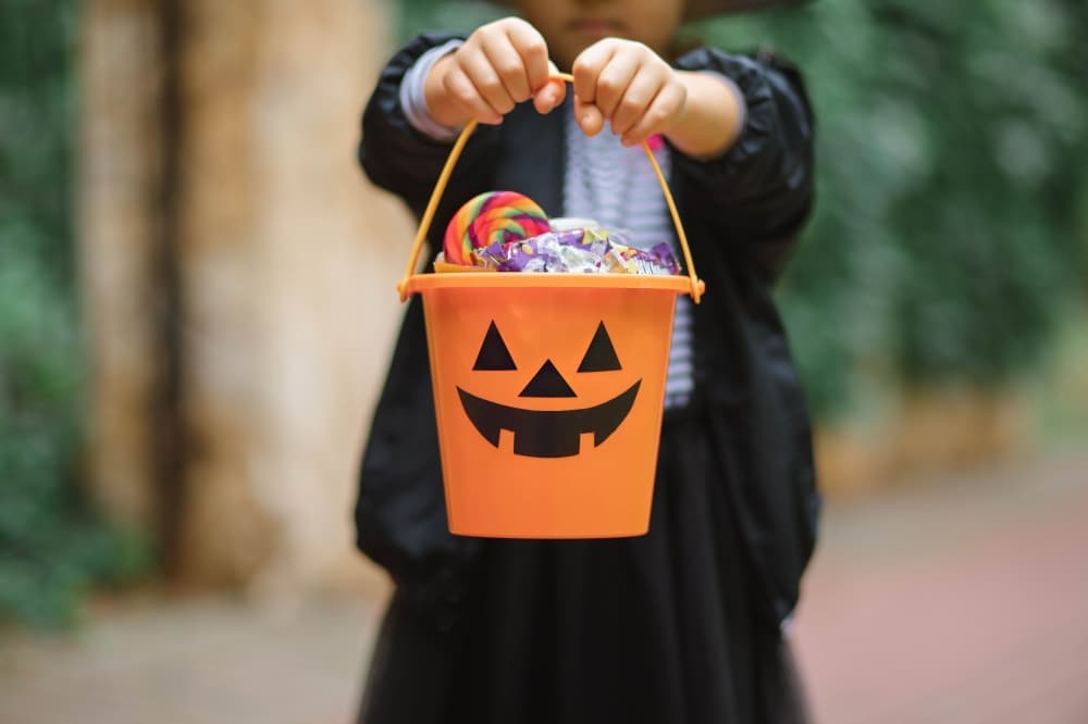 Trunk or treat, fall fest: Celebrate the season this weekend in Conroe, Montgomery, Oct. 24-26