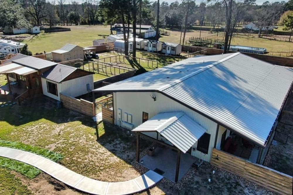 CAMO Rescue celebrates 10th anniversary