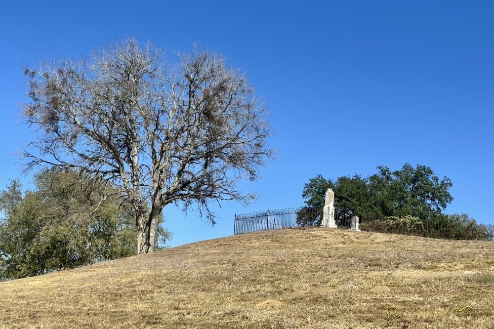 A tree and a grave on a hill at the cemetery are shown.