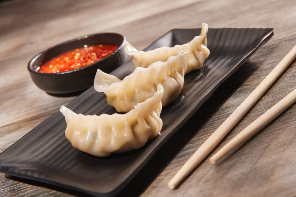 Experience the flavors of authentic Indo-Chinese cuisine at The Spice Garden in Round Rock