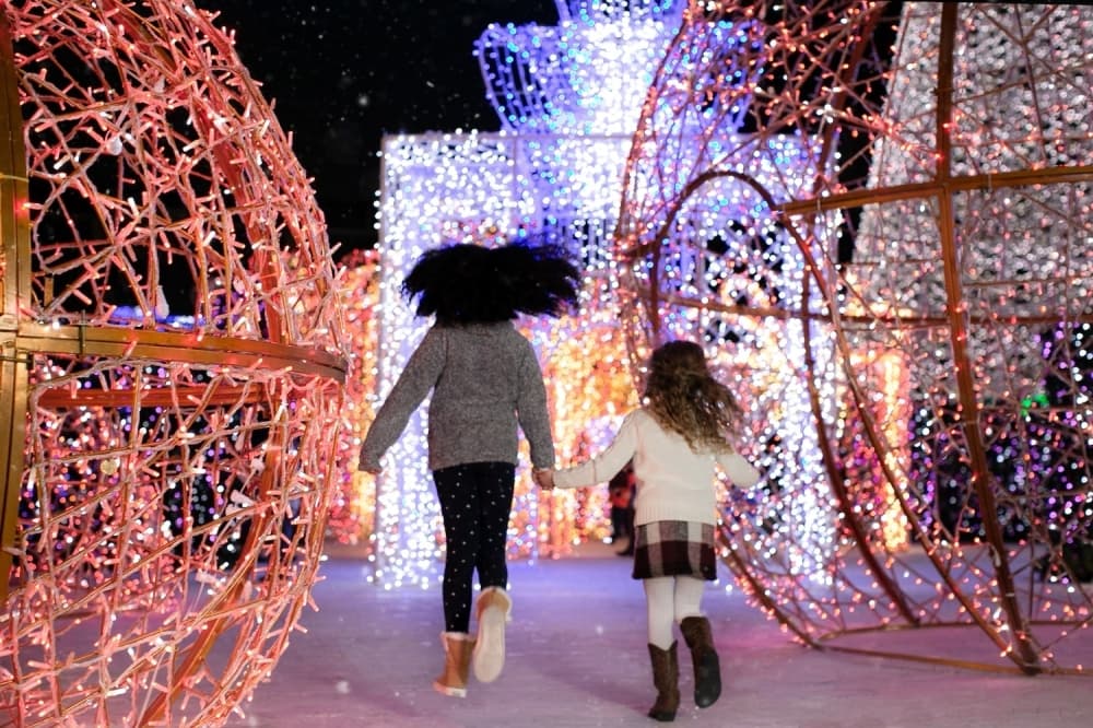 6 Northeast San Antonio Metrocom events to check out this November and December