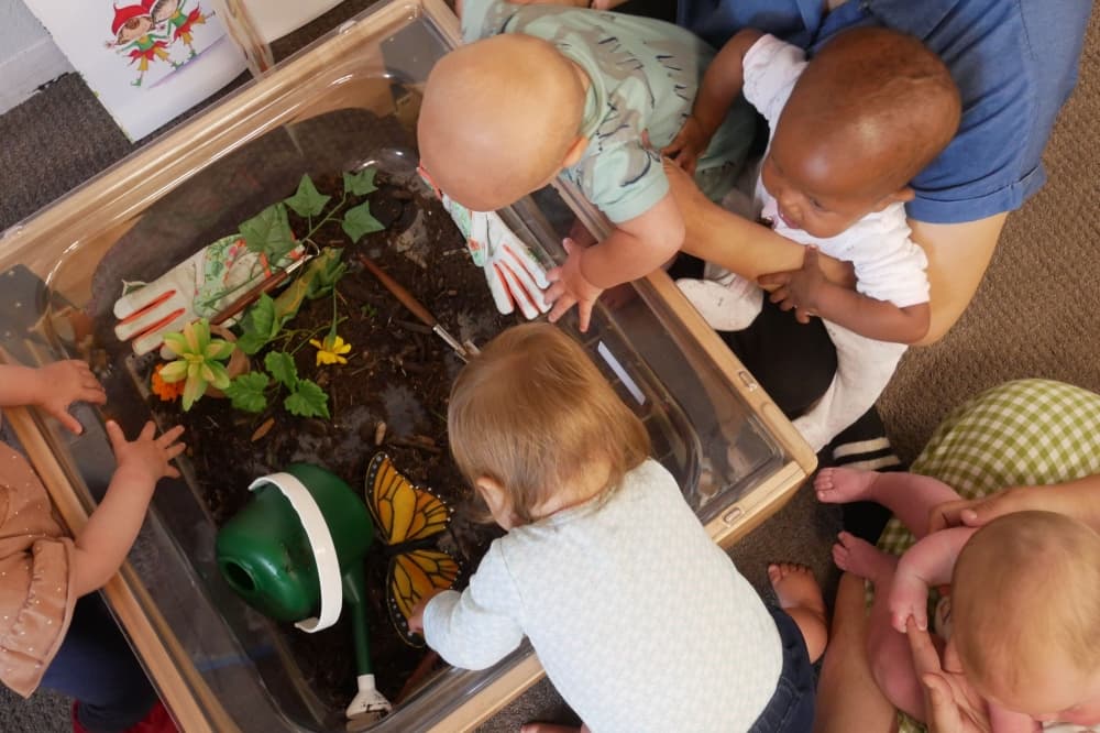 An image of children playing with nature materials inside a box. 