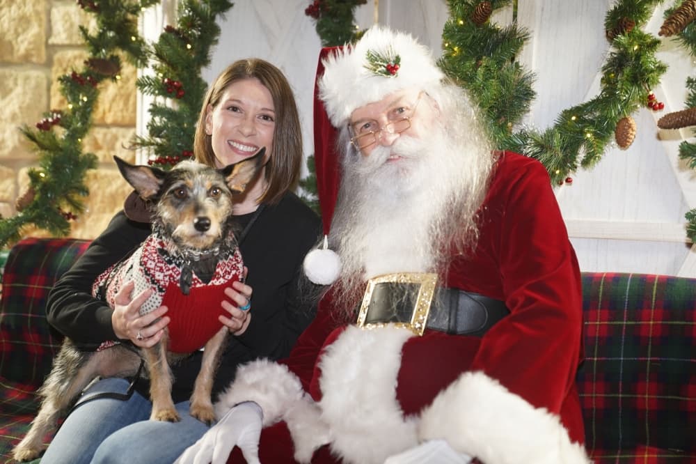 14 Cedar Park, Leander, Liberty Hill events to celebrate the holiday season this November, December