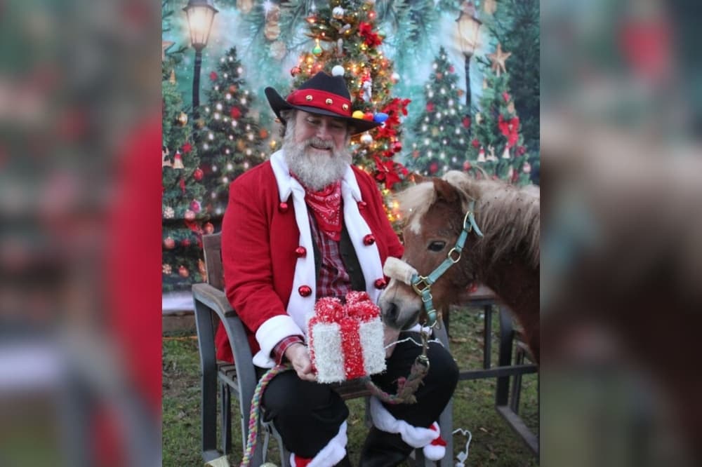 An image of Santa Claus with a horse. 