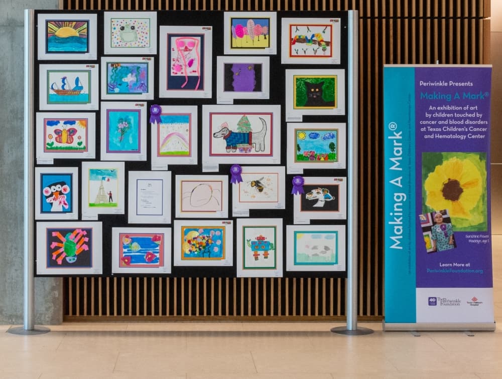 Artwork by Texas Children's pediatric cancer patients on display at Helix Park until Nov. 12