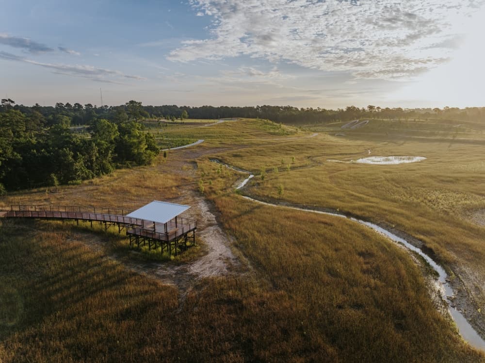 Shellye Anderson's leadership saw the completion of Memorial Park's Cyvia and Melvyn Wolff Prairie. (Courtesy Nick Hubbard)