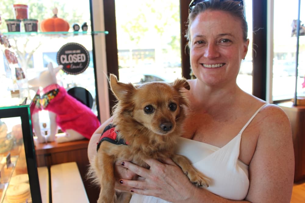 Pucci Cafe in Katy supports pet rescues through dog-friendly boutique, cafe