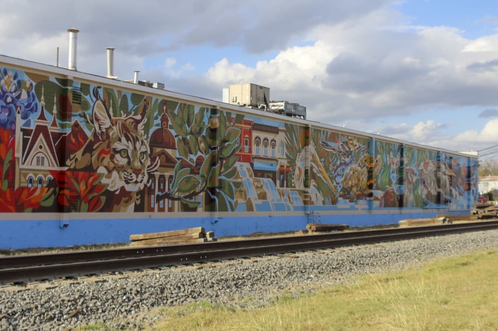 $80K gateway mural completed in downtown San Marcos
