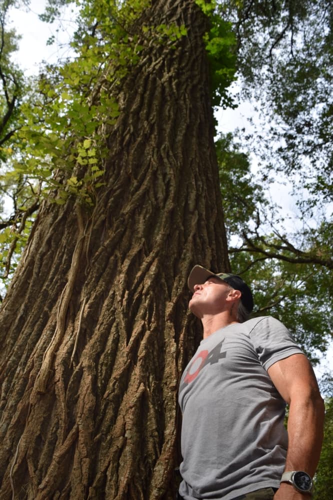 Alton closes his eyes and takes in the sun under a tall tree.