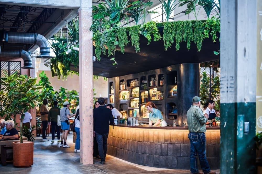 Weekend events to attend in the San Antonio-New Braunfels area, Nov. 1-3