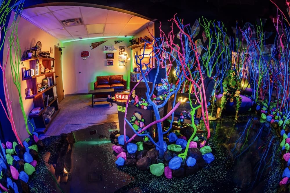 Meow Wolf officially opens doors to Houston's 'Radio Tave' exhibit