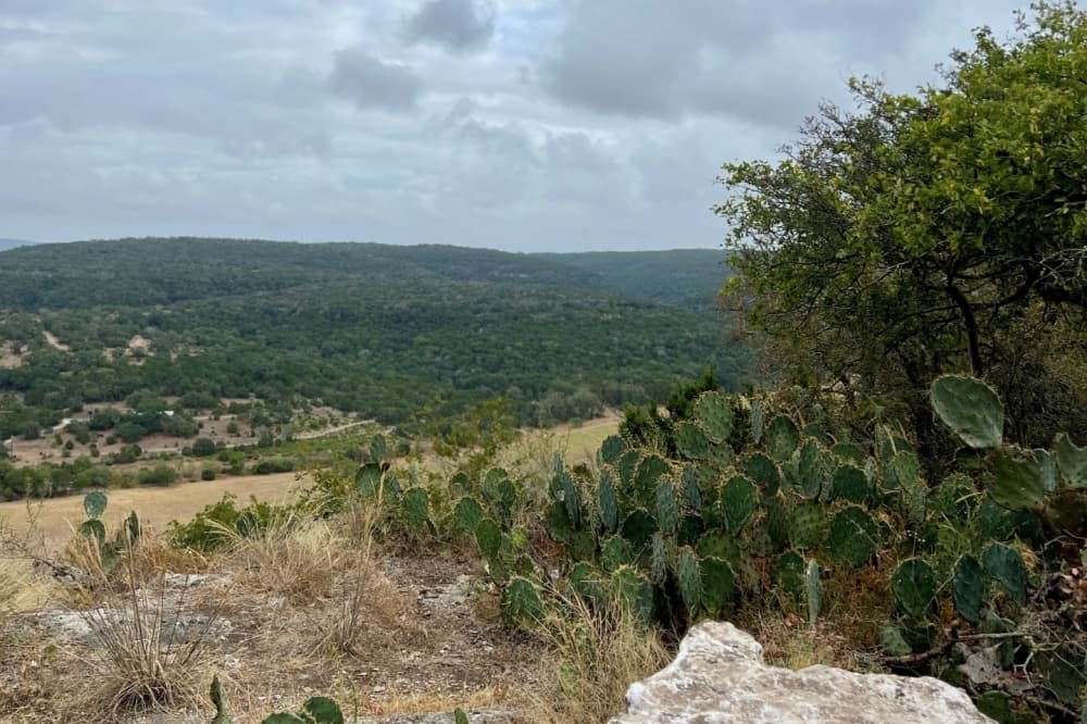 Morton Preserve in Comal County now open for public access