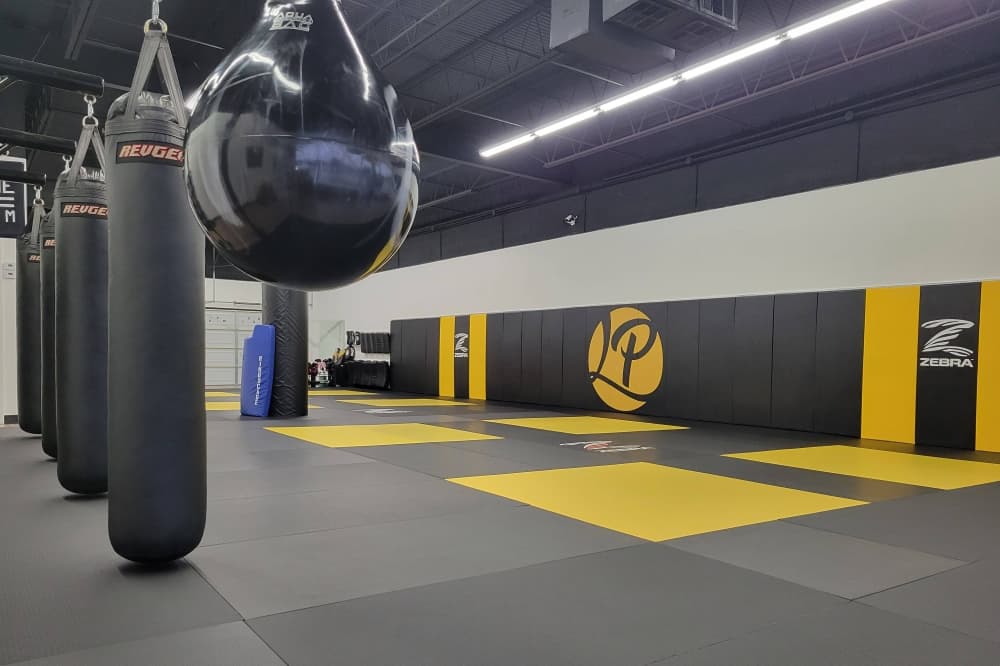 LP Martial Arts relocates to larger spot in Lewisville