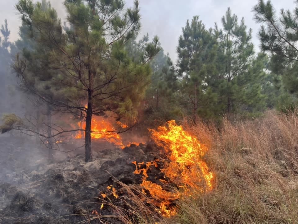 The wildfire began in the early afternoon near the 100 block of Hudson Road on Nov. 3. (Courtesy Nicholas Teague/Bastrop-Travis Counties Emergency Services District No. 1)
