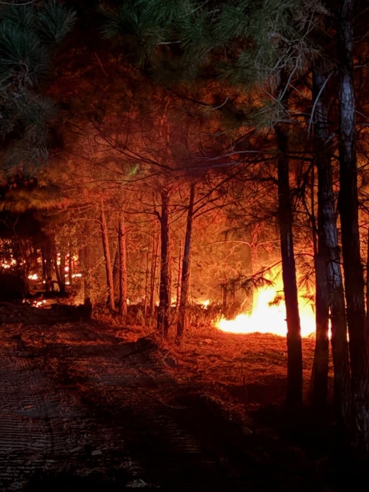 The wildfire began in the early afternoon near the 100 block of Hudson Road on Nov. 3. (Courtesy Nicholas Teague/Bastrop-Travis Counties Emergency Services District No. 1)